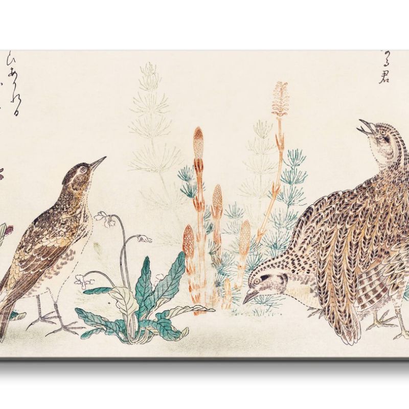 Remaster 120x60cm Utamaro Kitagawa traditionelle japanische Kunst Vögel Natur Blumen Harmonie