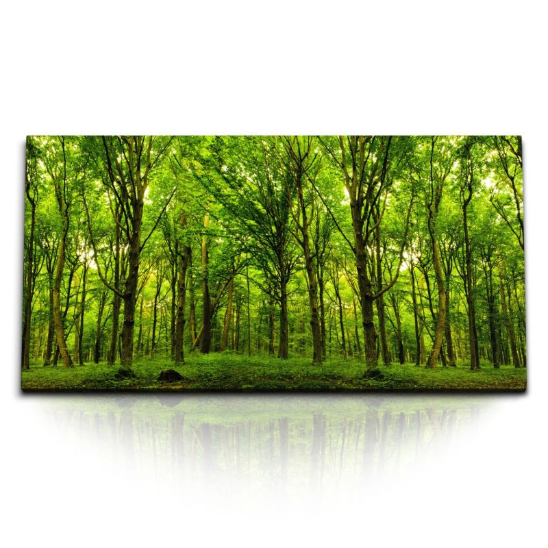 Kunstdruck Bilder 120x60cm Grüner Wald Bäume Natur Sommer