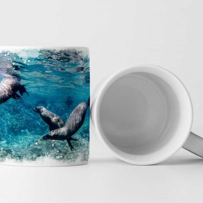 Tasse Geschenk Tauchende Seelöwen – Tierfotografie Californien