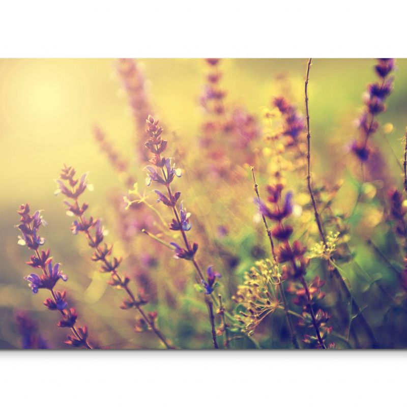 120x80cm Wandbild Wildblumen Wiese Sonnenuntergang vintage