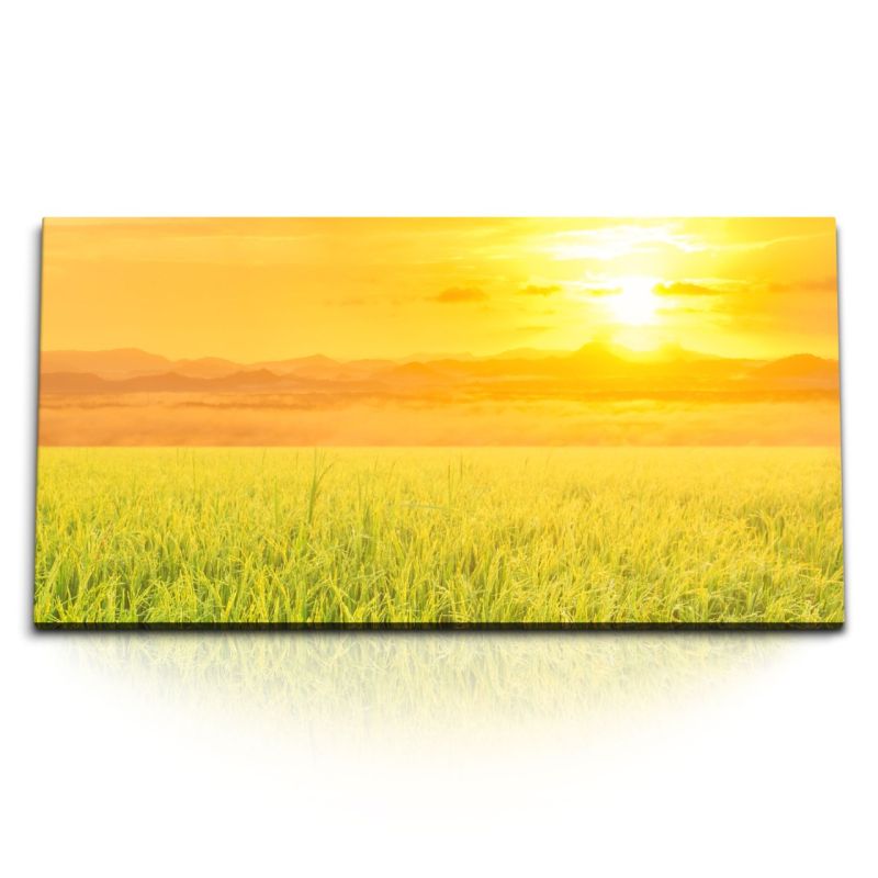 Kunstdruck Bilder 120x60cm Weizen Weizenfeld Sommer Sonne Sonnenuntergang