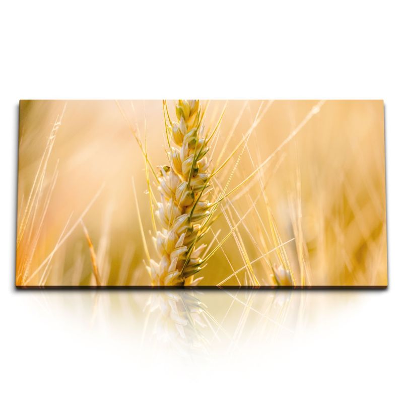 Kunstdruck Bilder 120x60cm Weizen Getreide Sommer Feld Natur Makro