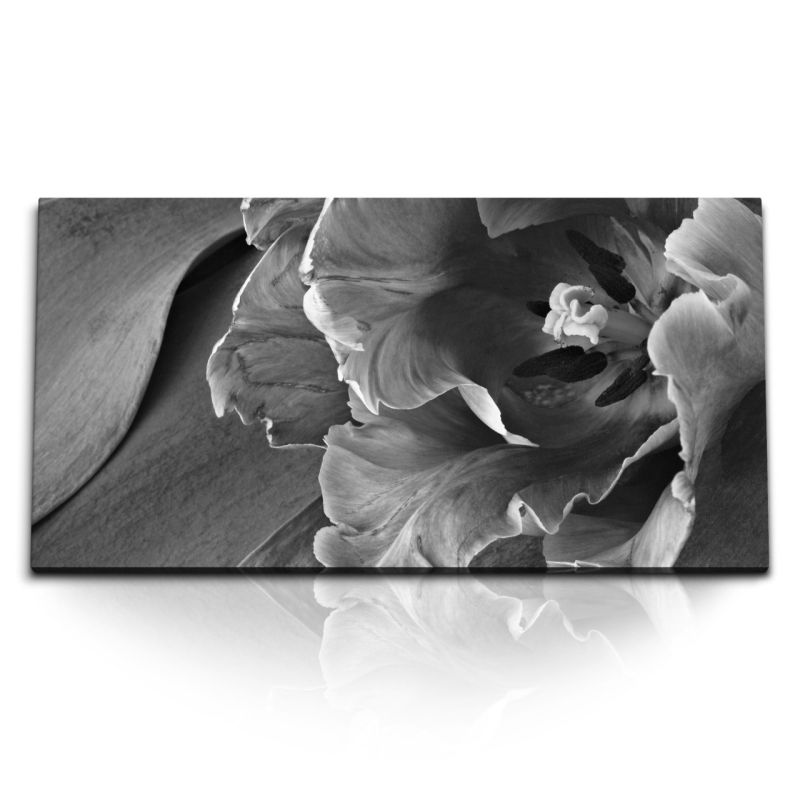 Kunstdruck Bilder 120x60cm Schwarz Weiß Makrofotografie Blume Blüte Kunstvoll