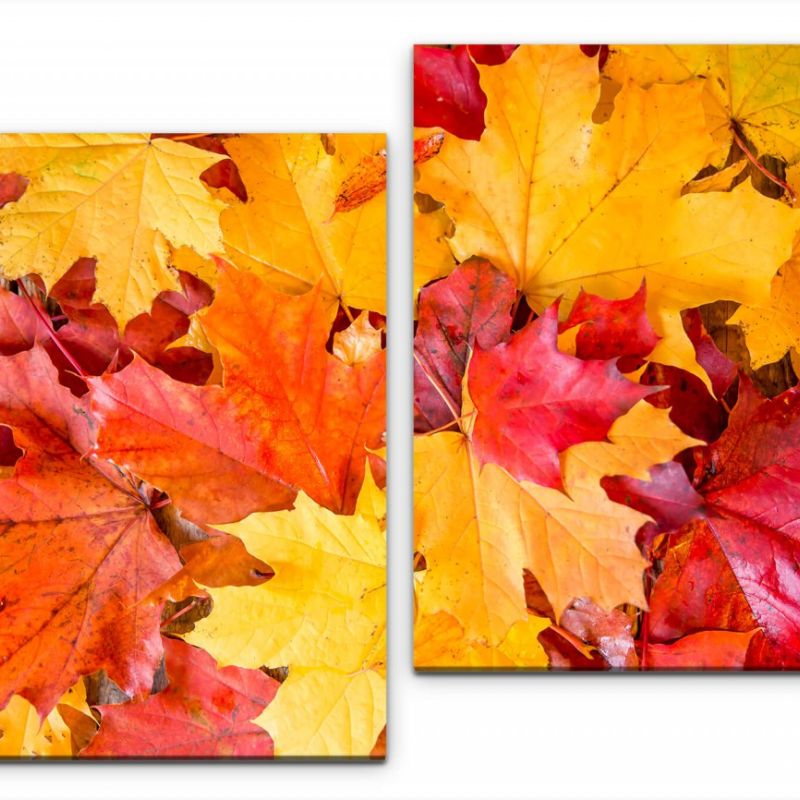 Herbstblätter Wandbild in verschiedenen Größen