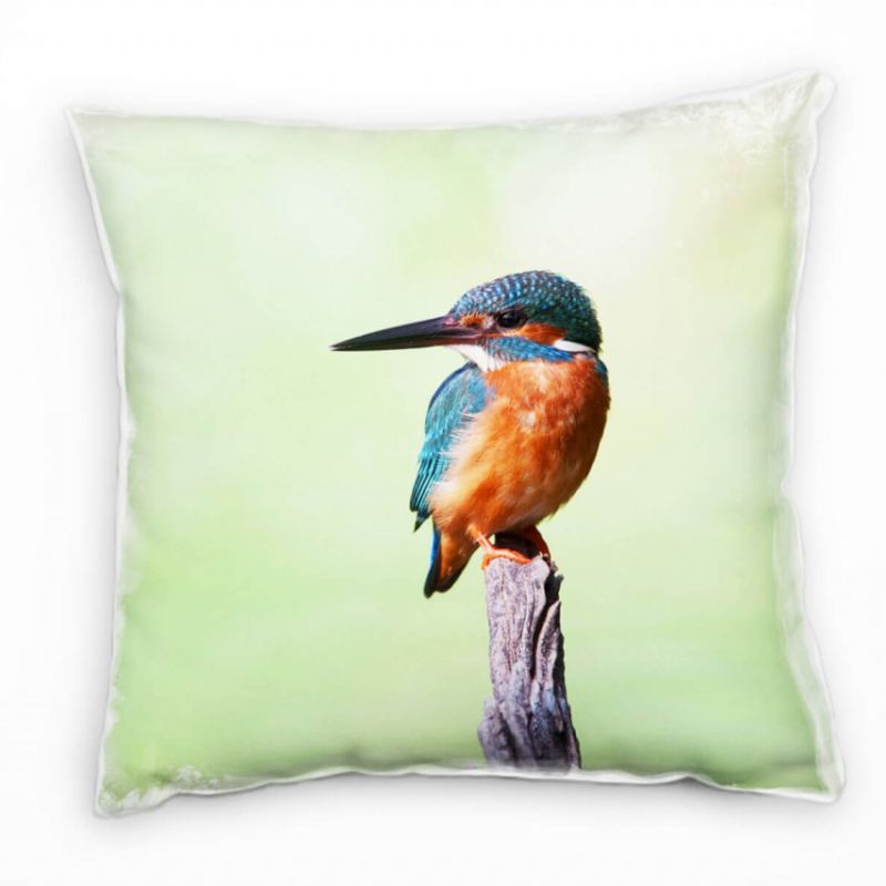 Tiere, Eisvogel, türkis, orange, grün Deko Kissen 40x40cm für Couch Sofa Lounge Zierkissen