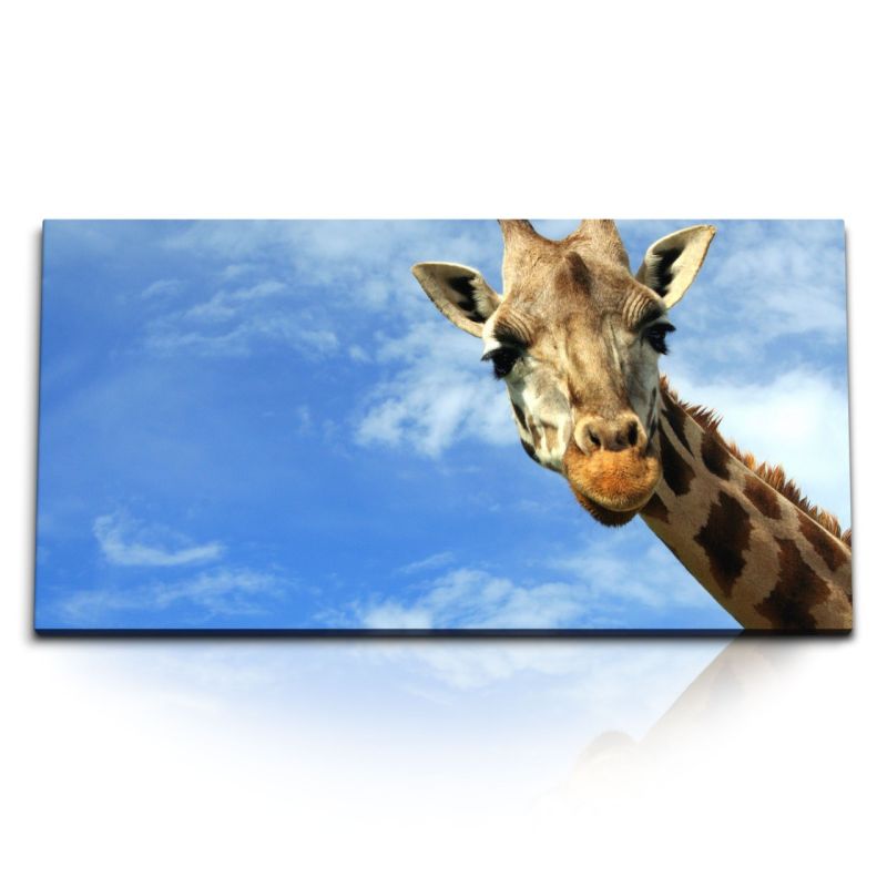 Kunstdruck Bilder 120x60cm Giraffe blauer Himmel Tierfotografie Afrika Sonnenschein