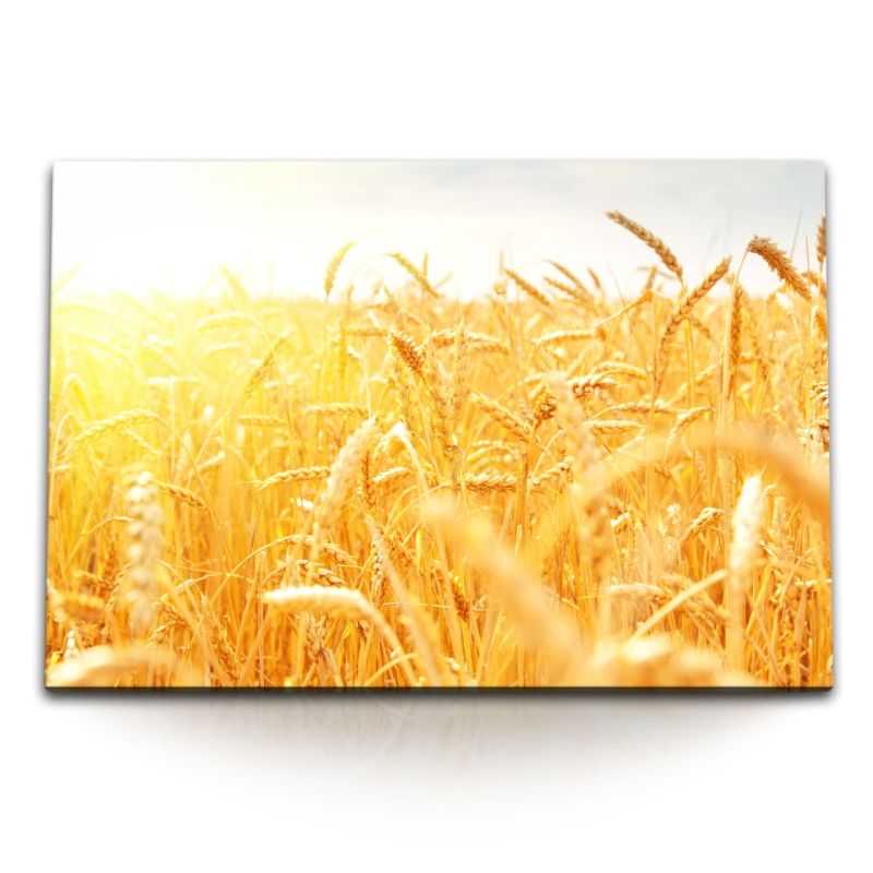 120x80cm Wandbild auf Leinwand Weizenfeld Feld Sommer Sonnenschein Weizen