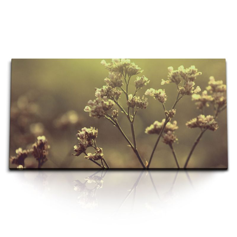 Kunstdruck Bilder 120x60cm Sonnenuntergang Natur Pflanze Blume Blüten