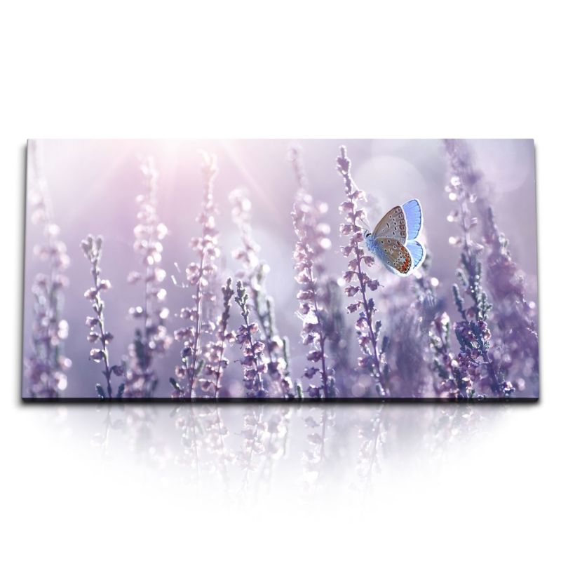 Kunstdruck Bilder 120x60cm Sonnenschein Lavendel Schmetterling Natur Blumen