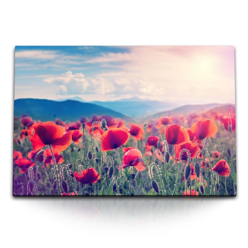 120x80cm Wandbild auf Leinwand Mohnblumen Feld Wildlumen rote Blüten Natur