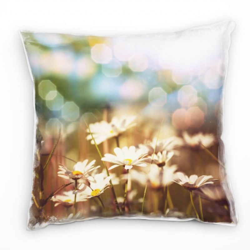 Macro, Blumen, Gänseblümchen, schöne Lichtverhältnisse Deko Kissen 40x40cm für Couch Sofa Lounge Zie