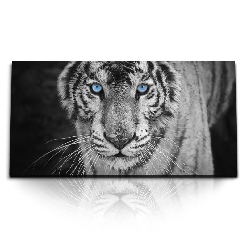 Kunstdruck Bilder 120x60cm Tiger mit blauen Augen Raubkatze Tierfotografie