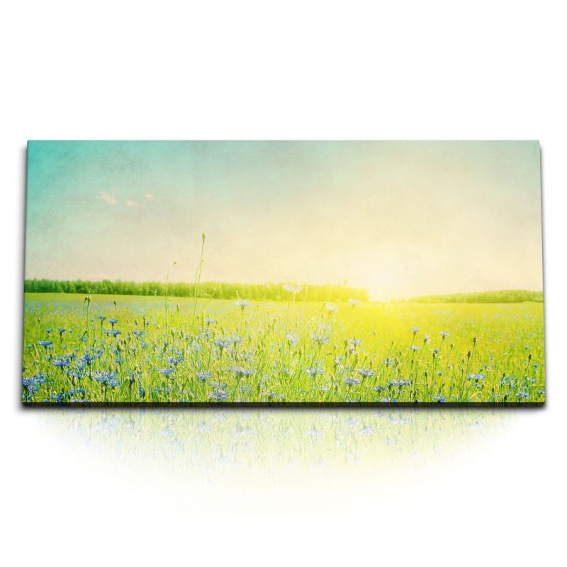 Kunstdruck Bilder 120x60cm Sommerwiese Sonnenschein Blumen Wildblumen