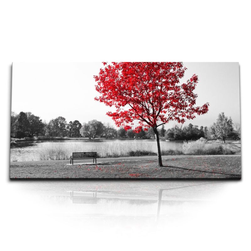 Kunstdruck Bilder 120x60cm Rote Herbstblätter Baum Schwarz Weiße See Bank