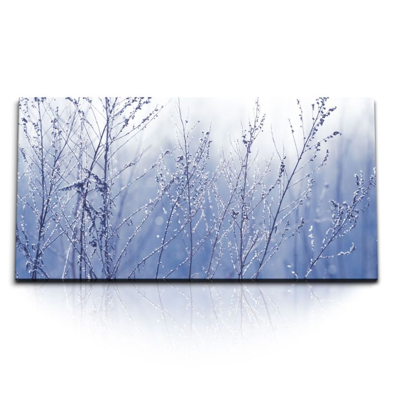 Kunstdruck Bilder 120x60cm Winter Schnee Natur Blau Äste Gebüsch