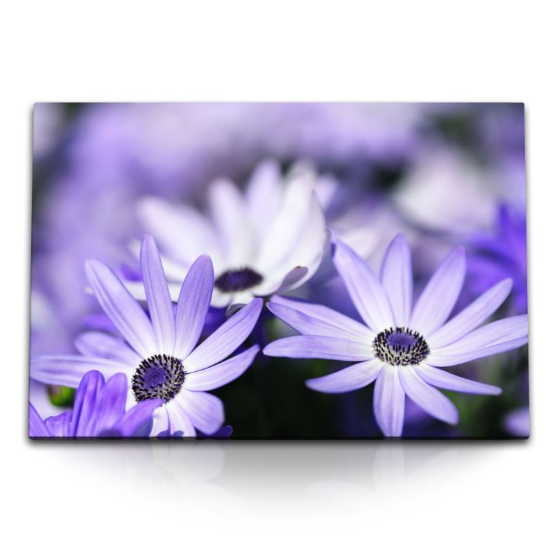 120x80cm Wandbild auf Leinwand Weiße Blumen Blüten Violett Feldblumen Wildblumen