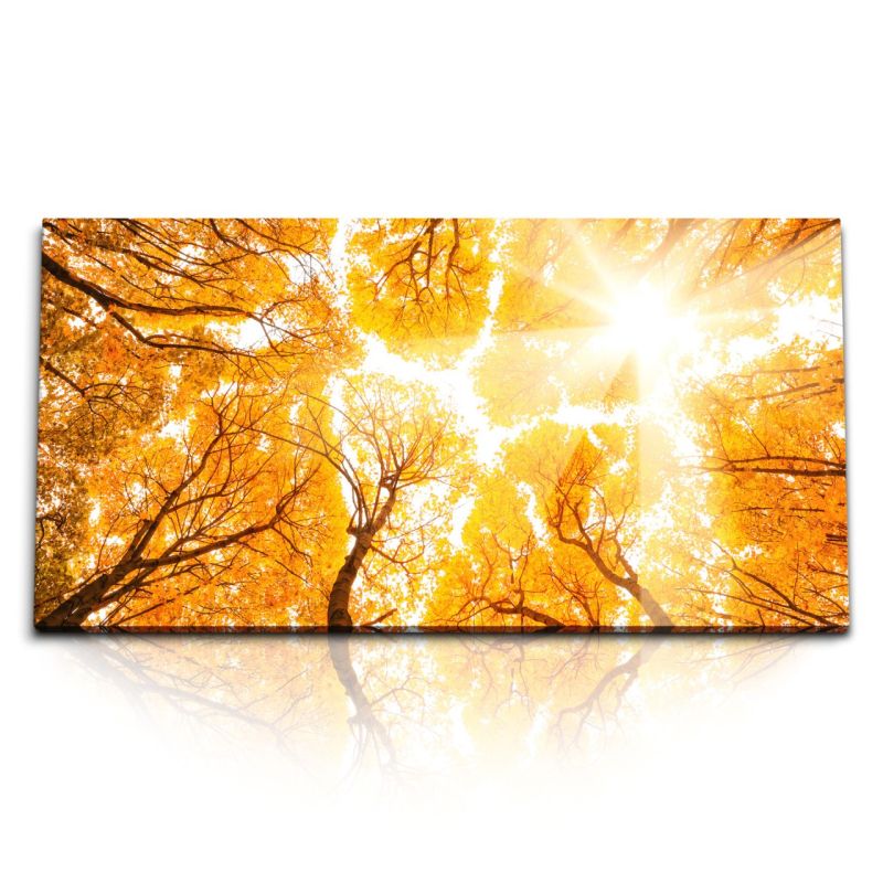 Kunstdruck Bilder 120x60cm Baumkronen Bäume Herbstblätter Herbst Sonnenschein