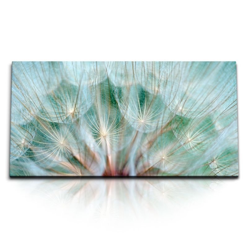 Kunstdruck Bilder 120x60cm Pusteblume Makrofotografie Türkis Fotokunst Dekorativ