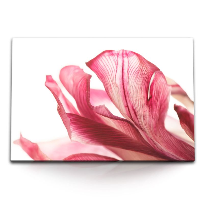 120x80cm Wandbild auf Leinwand Rote Blume Blüte Orchidee Fotokunst Blumenblüte