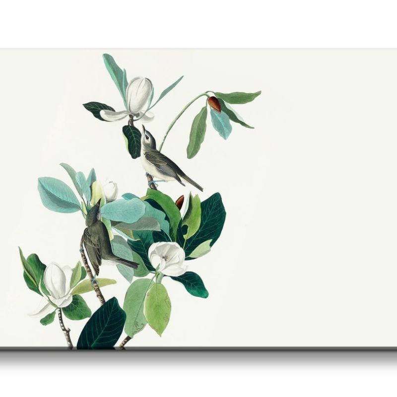 Remaster 120x60cm Kunstvolle Vintage Illustration von Vögel Exotisch Schön Natur Dekorativ Blumen