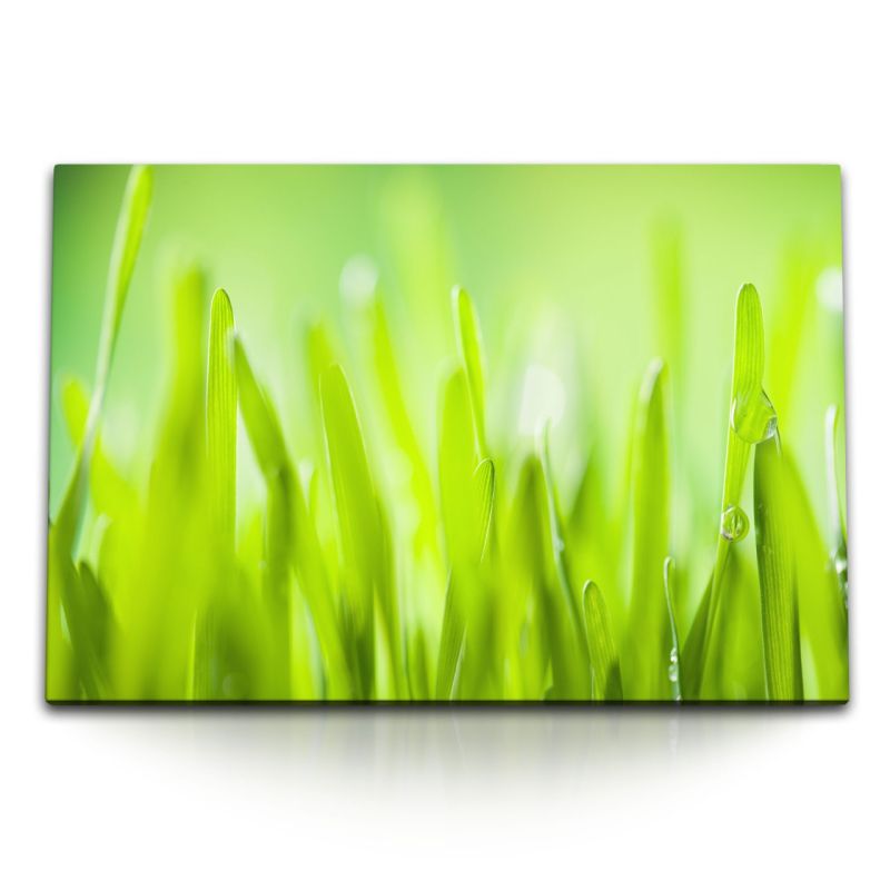 120x80cm Wandbild auf Leinwand Grüne Wiese Gras Grashalme Morgentau Wassertropfen