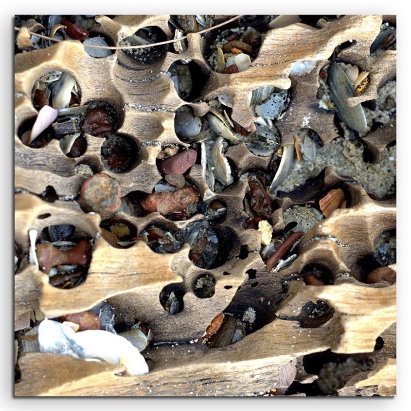 Naturfotografie –  Holz und Muscheln am Strand auf Leinwand