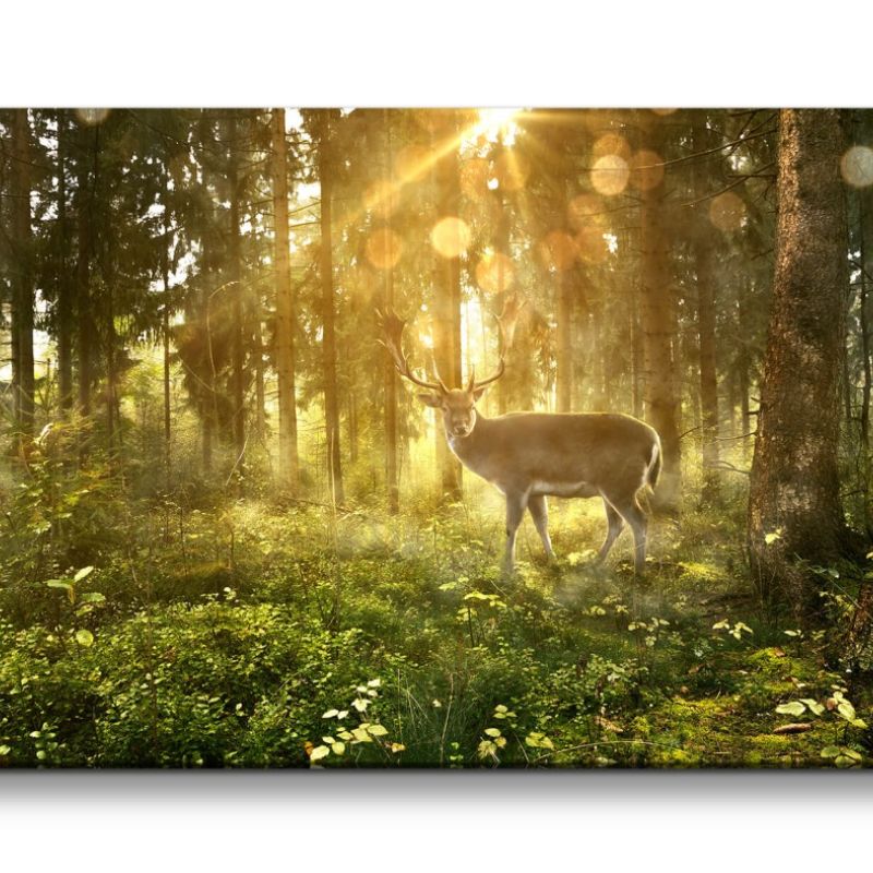 Leinwandbild 120x60cm Wald Natur Sonnenstrahlen Hirsch Lichtstrahlen Friedlich