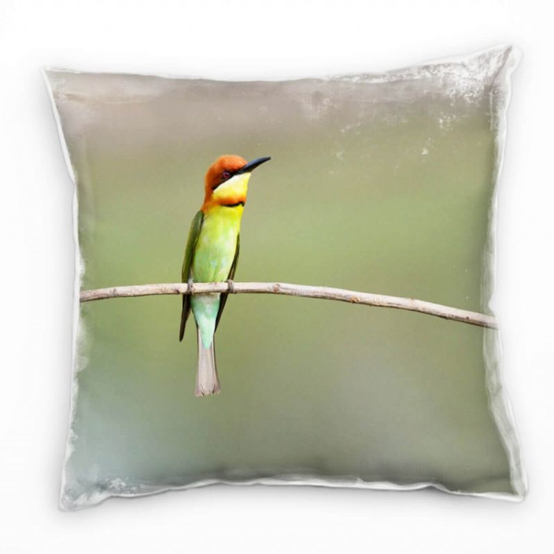 Tiere, Vogel, Bienenesser, grün, orange  Deko Kissen 40x40cm für Couch Sofa Lounge Zierkissen