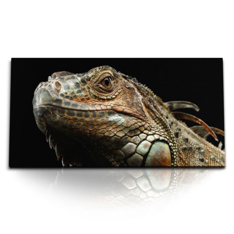 Kunstdruck Bilder 120x60cm Iguana Grüner Leguan Reptil Echse schwarzer Hintergrund