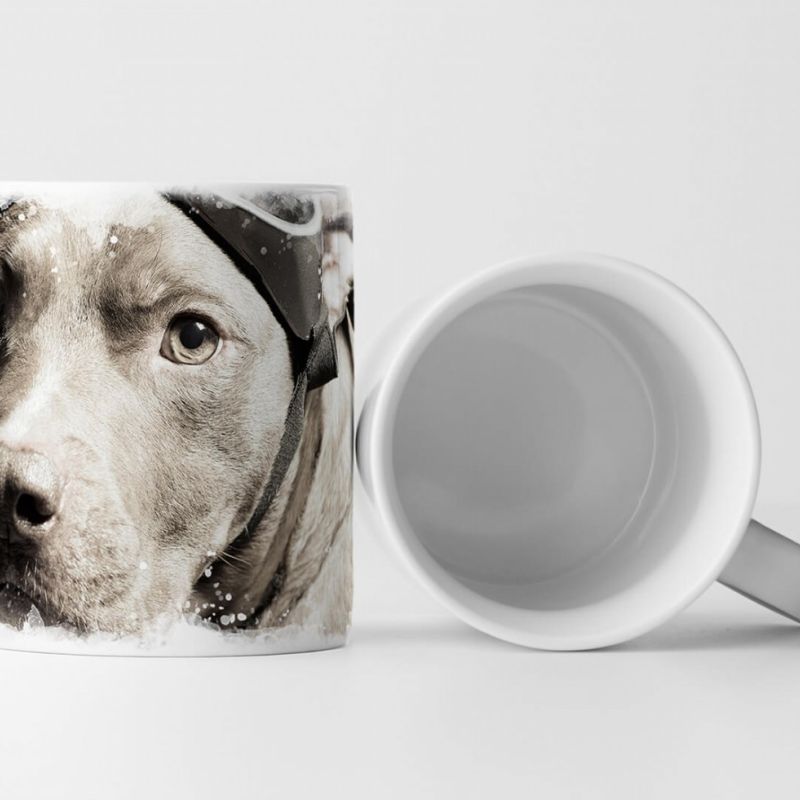 Tasse Geschenk Tierfotografie – Porträt eines Pitbulls mit Fliegerbrille