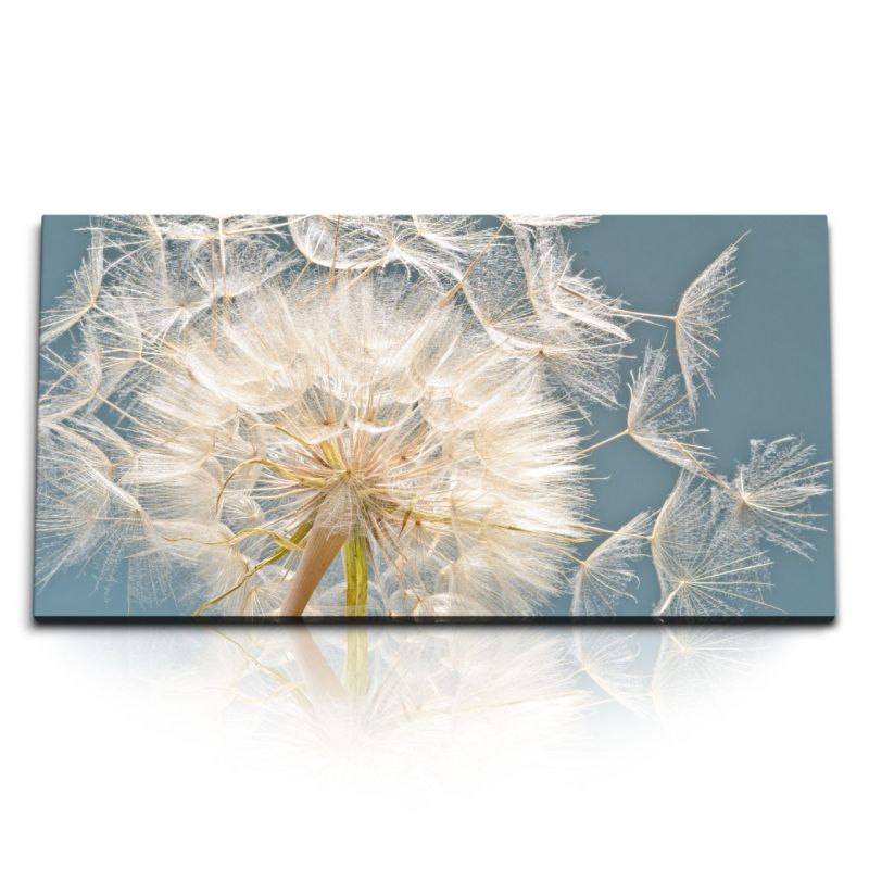 Kunstdruck Bilder 120x60cm Pusteblume Löwenzahn Türkis Nahaufnahme Blume