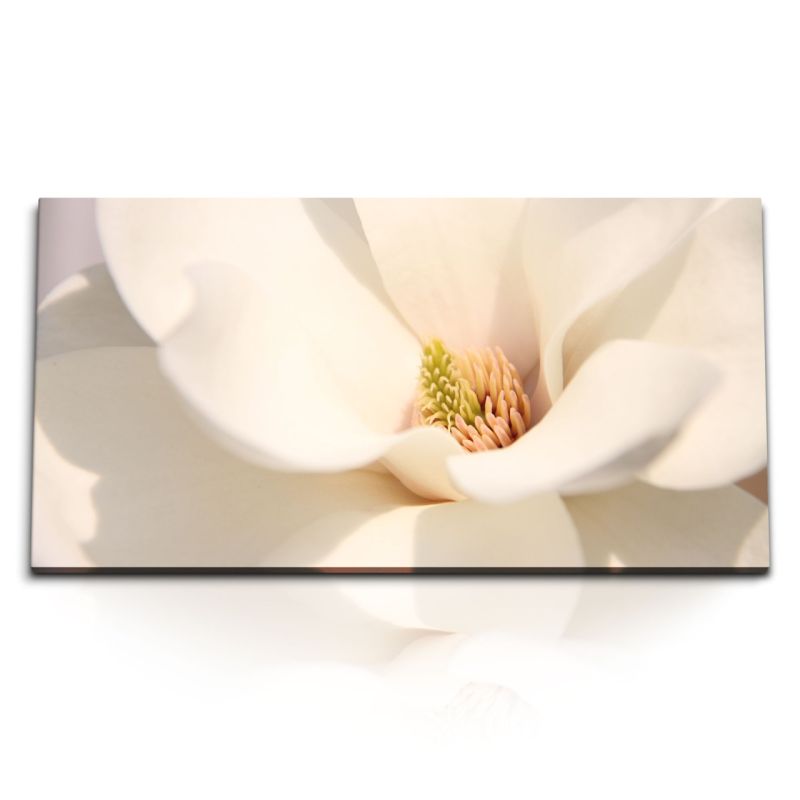 Kunstdruck Bilder 120x60cm Magnolia Blume Weiße Blüte Makrofotografie Kunstvoll