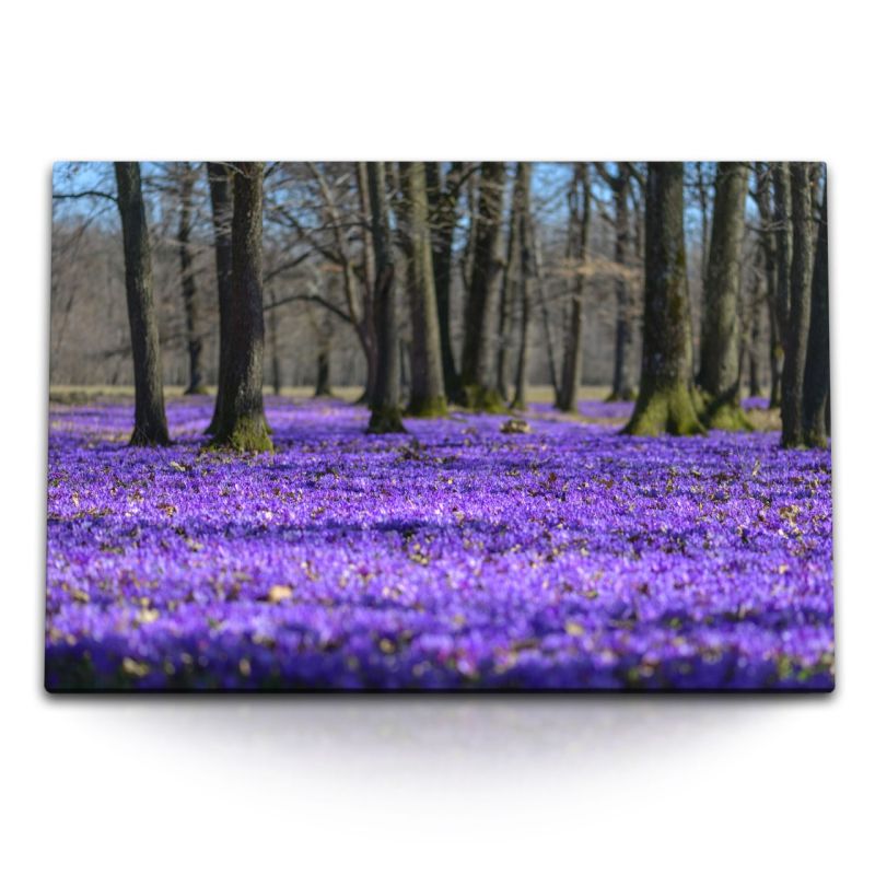 120x80cm Wandbild auf Leinwand Violette Blüten Blumen Natur Bäume