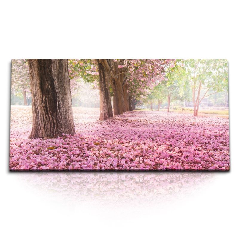 Kunstdruck Bilder 120x60cm Baumblüten Frühling Rosa Park Bäume Natur