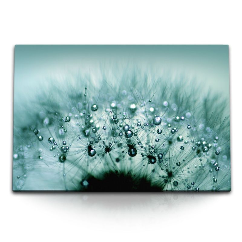 120x80cm Wandbild auf Leinwand Makrofotografie Pusteblume Tropfen Regentropfen Türkis