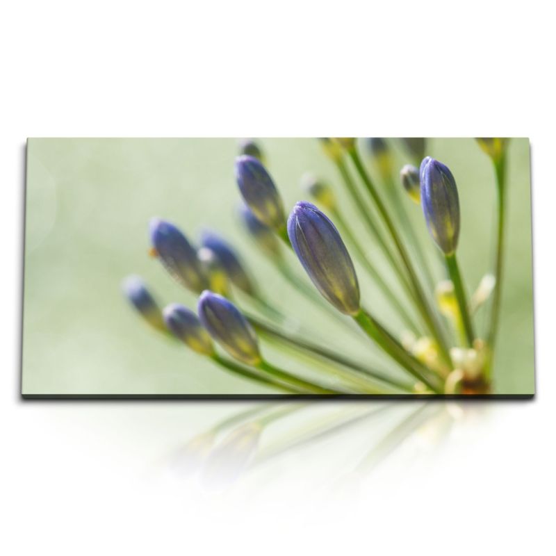 Kunstdruck Bilder 120x60cm Makrofotografie Blume Blüte Grün Blau Lilie