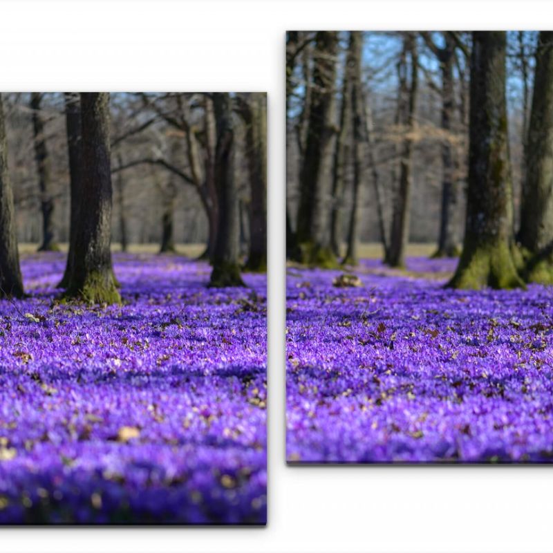 Die ersten Frühlingsblumen Wandbild in verschiedenen Größen