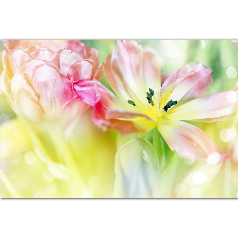 120x80cm Tulpen Farbfilter Glitzer