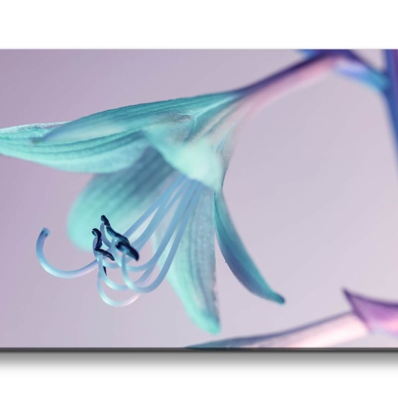 Leinwandbild 120x60cm Schöne Blume Blüte Fotokunst Makrofotografie Wunderschön