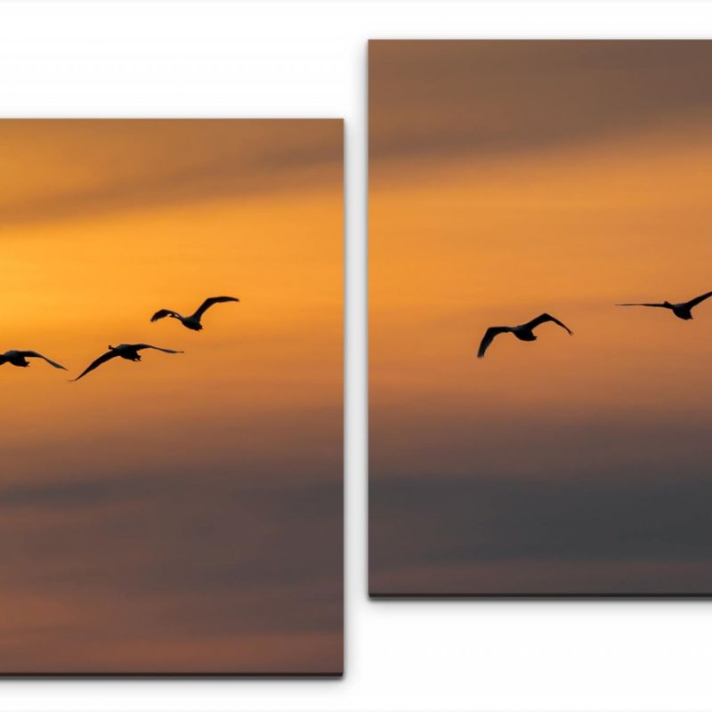 Vögel im Himmel Wandbild in verschiedenen Größen