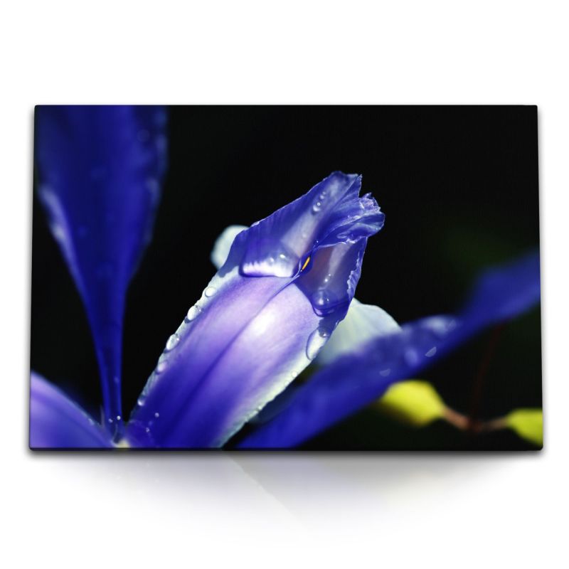 120x80cm Wandbild auf Leinwand Orchidee Blume Blüte Violett Makrofotografie Dunkel