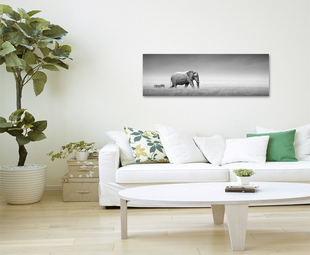 120x80cm Wandbild Kenia Akazien Wildtiere Sonnenuntergang, Tierfotografie –  Möwen in der Luft auf Leinwand, Tierfotografie –  Portrait eines männlichen Pfau auf Leinwand, Tierfotografie –  Weißer Araberhengst bei Nebel auf Leinwand, Tierfotografie – Ara im Portrait auf Leinwand, Tierfotografie – Auge eines Alligators auf Leinwand, Tierfotografie – Bengalischer Königstiger auf Leinwand, Tierfotografie – Bunte Prachtlori Papagei Federn auf Leinwand, Tierfotografie – Elefant im Nebel auf Leinwand, Tierfotografie – Elefant und Zebra   auf Leinwand, Tierfotografie – Elefant und Zebra   auf Leinwand, Tierfotografie – Elefant, Kanchanaburi Provinz, Thailand auf Leinwand, Tierfotografie – fliegen flugzeug technik reisen verreisen reisekopf in Makroaufnahme auf Leinwand, Tierfotografie – Jaguar auf Baum auf Leinwand, Tierfotografie – Portrait einer jungen Katze auf Leinwand, Tierfotografie – Roter europäischer Fuchs auf Leinwand, Tierfotografie – Seeadler im Profil auf Leinwand, Tierfotografie – Seitenprofil vom bengalischer Königstiger  auf Leinwand, Tierfotografie – Wilder afrikanischer Löwe, Kenia auf Leinwand