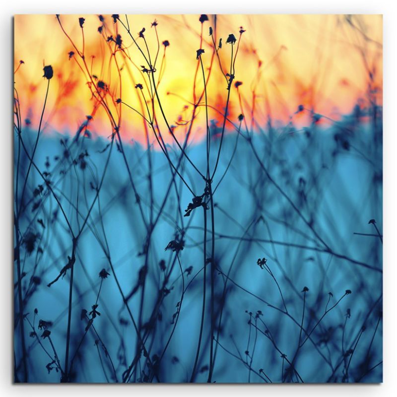 Landschaftsfotografie – Pflanzen bei Sonnenaufgang auf Leinwand