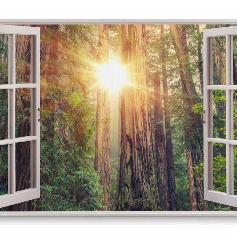 Wandbild 120x80cm Fensterbild Urwald Wald Sonnenstrahl warmes Licht Bäume Natur