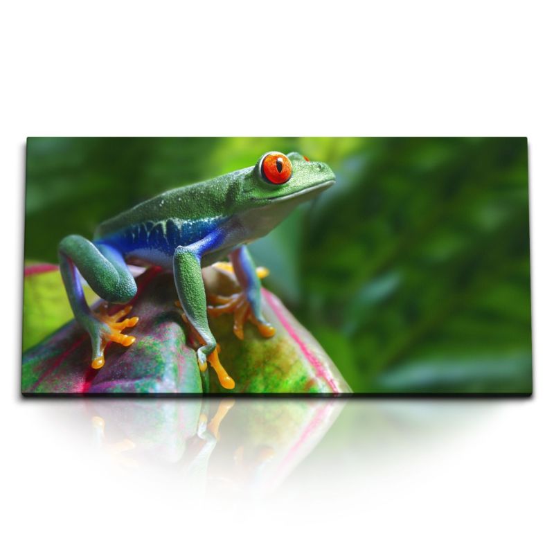 Kunstdruck Bilder 120x60cm Frosch im Dschungel Grün Tropisch Exotisch