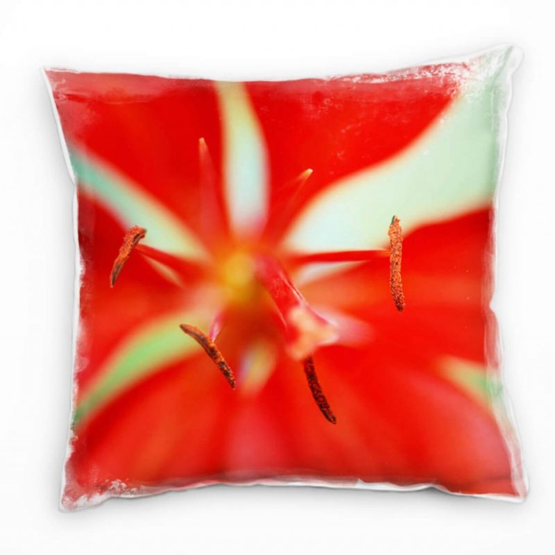 Macro, Blumen, Blüte, rot, grün Deko Kissen 40x40cm für Couch Sofa Lounge Zierkissen