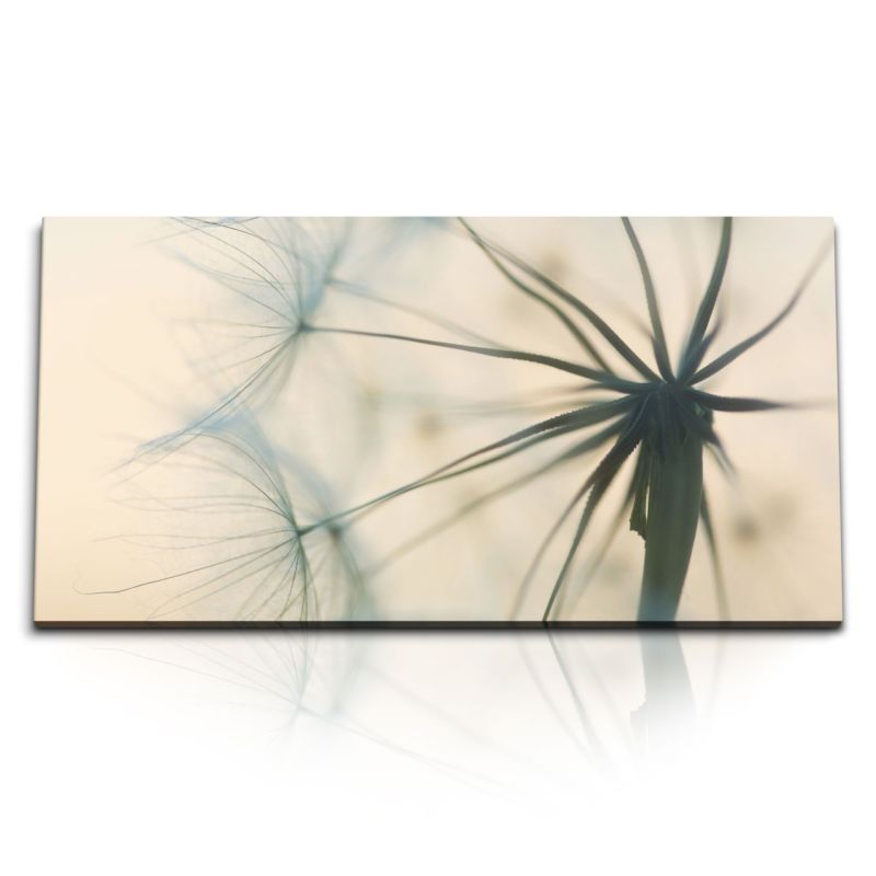 Kunstdruck Bilder 120x60cm Makrofotografie Fotokunst Pusteblume Nahaufnahme Kunstvoll