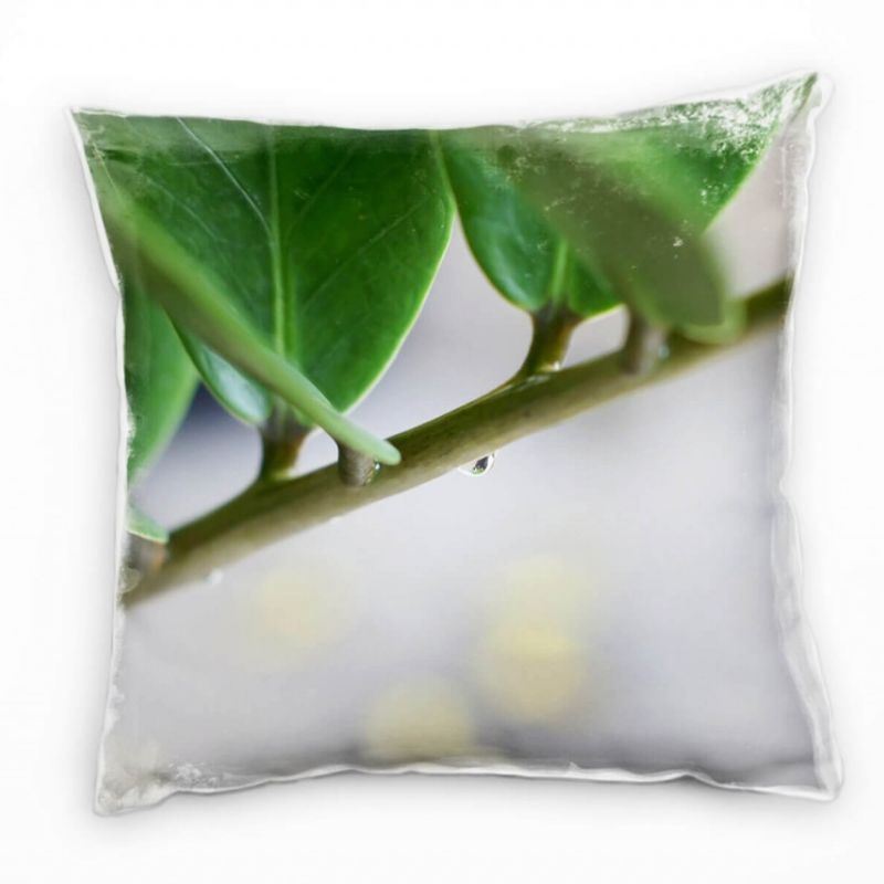 Macro, Natur, Blätter, grün, grau Deko Kissen 40x40cm für Couch Sofa Lounge Zierkissen