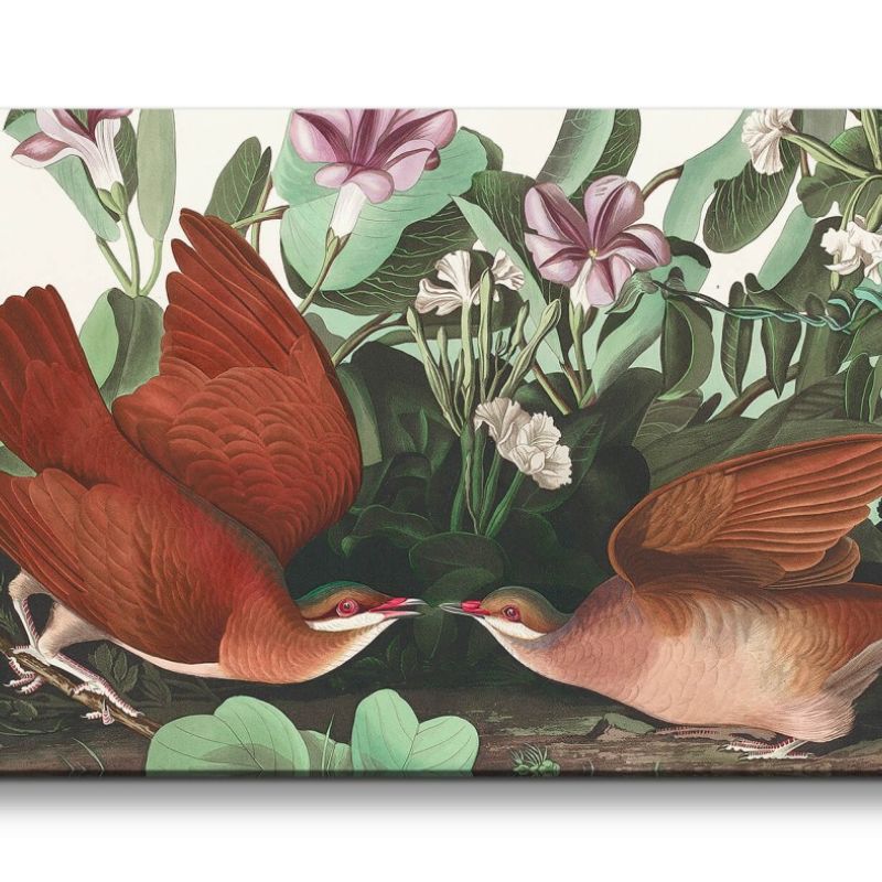 Remaster 120x60cm Kunstvolle Vintage Illustration von Vögel Exotisch Schön Natur Dekorativ