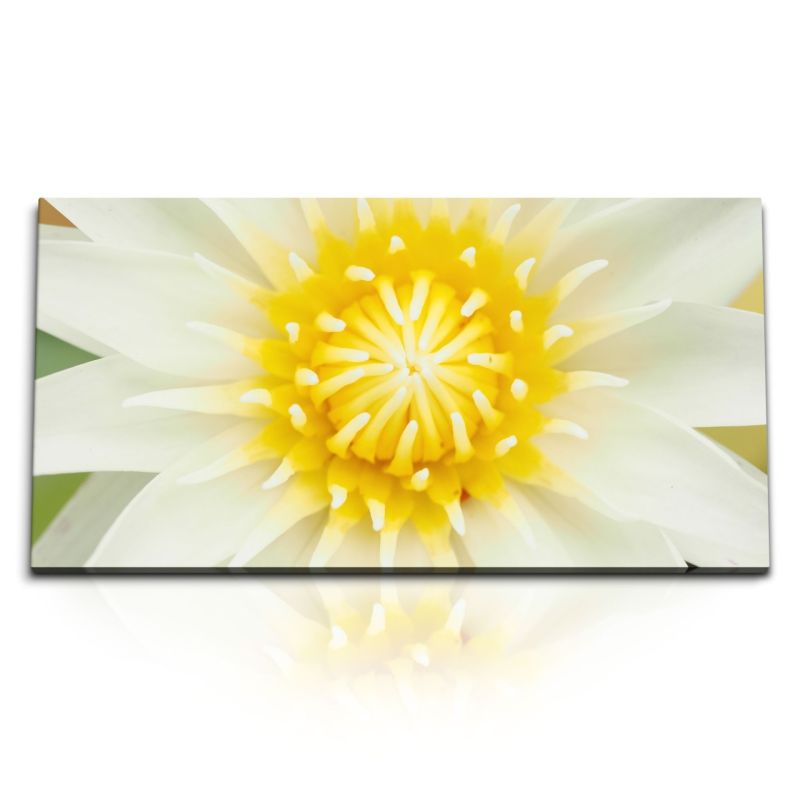 Kunstdruck Bilder 120x60cm Lotus Lotosblüte weiße Blüte Makrofotografie